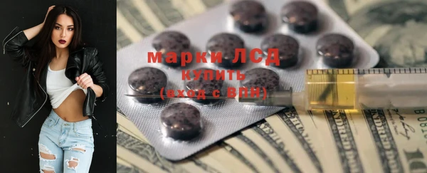 стафф Великий Новгород